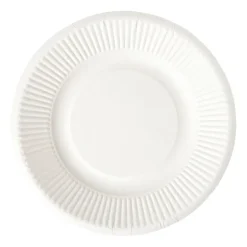Bagasse bord - wit - ø21x1.8 cm