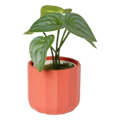 Bloempotje streep - rood - ø7x6.5 cm