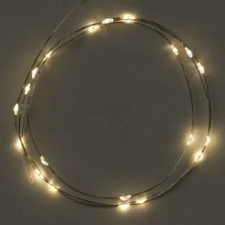 Draadverlichting - warm wit licht - 20 led lampjes - 95 cm