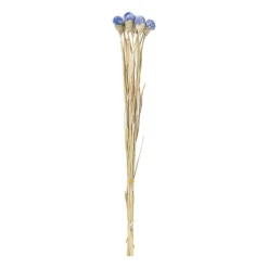 Droogbloemen - diverse varianten - 38 cm