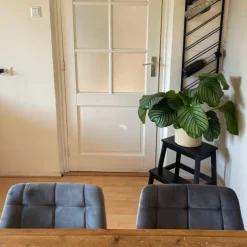 Eetkamerstoel velvet - grijs - 79x50x44 cm