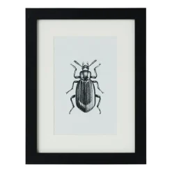 Fotolijst met passe partout - zwart - 10x15 cm