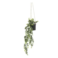 Hangplant - 65 cm