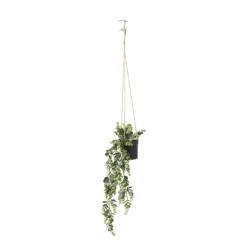 Hangplant - 65 cm