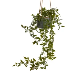 Hangplant in pot - 55 cm