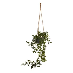 Hangplant in pot - 55 cm