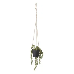 Hangplantje in pot - zwart - 9x9x70 cm