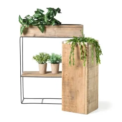 Hangplantje in potje - lang blad