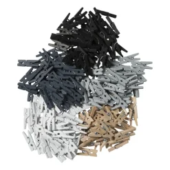 Houten knijpertjes in kistje - multikleur