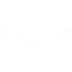 Kerst lichtslinger met 50 lampjes - multikleur - 4.9 meter