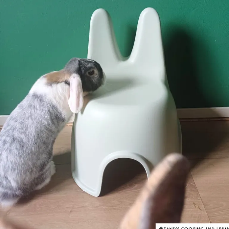 Kinderstoel Babs met konijnenoortjes - groen - 46x40x34 cm