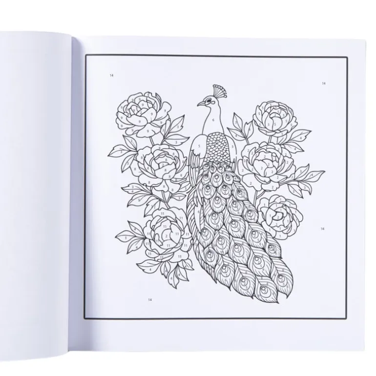 Kleurboek op nummer dieren - 20x20 cm