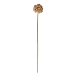 Kunstbloem allium - diverse varianten - 50 cm
