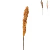 Kunstbloem pampas tak - 81 cm - diverse kleuren