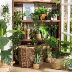 Kunstplant aloe vera - 28 cm