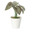 Kunstplant mini syngonium - rood - 13 cm