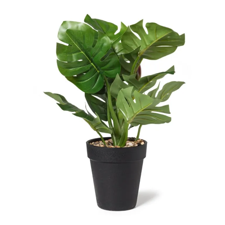 Kunstplant monstera - ø16x30 cm