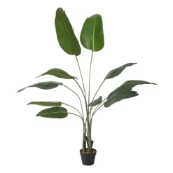 Kunstplant strelitzia - 160 cm