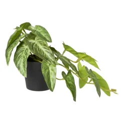 Kunstplant syngonium - 17 cm