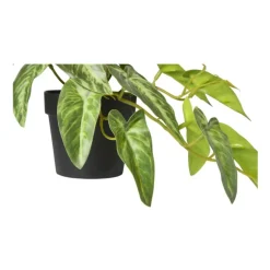 Kunstplant syngonium - 17 cm