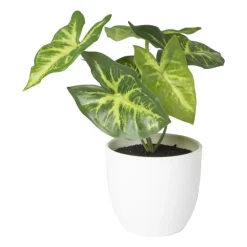 Kunstplant syngonium - 16 cm