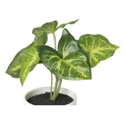 Kunstplant syngonium - 16 cm