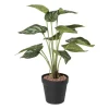 Kunstplant syngonium - 36 cm