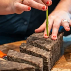 Natuurlijk steekblok - 23x10x7,5 cm