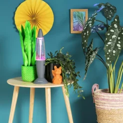 Papieren waaiers - multikleur - set van 5