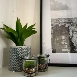 Plantje in glas - ø6x6.7 cm