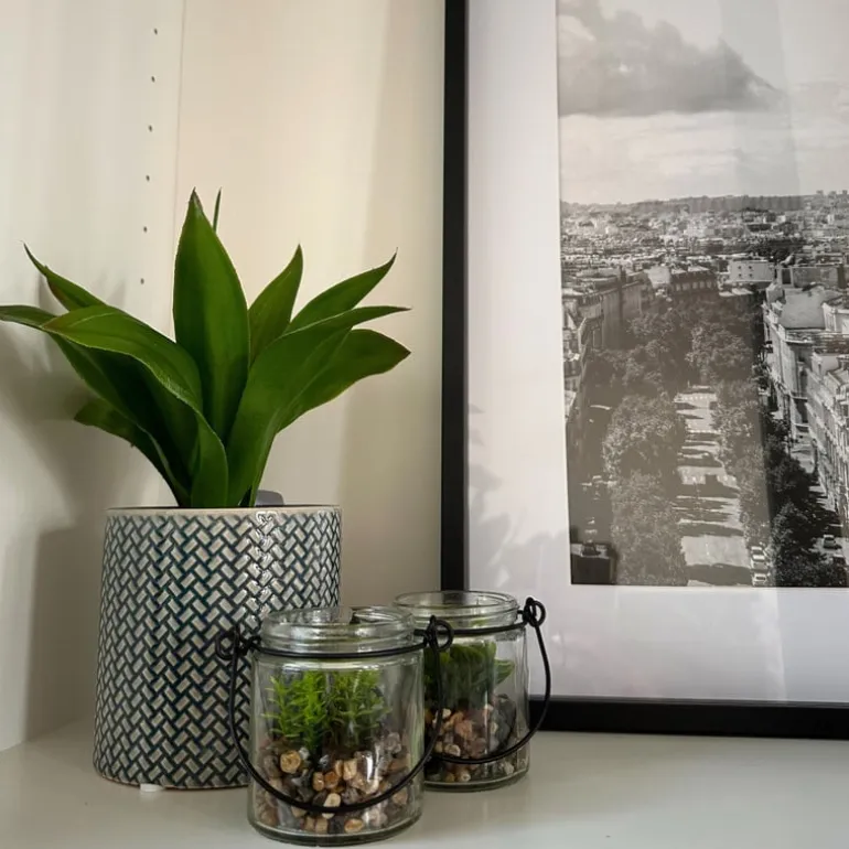 Plantje in glas - ø6x6.7 cm
