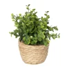 Plantje in rieten mand - rond blad - ø10x19 cm