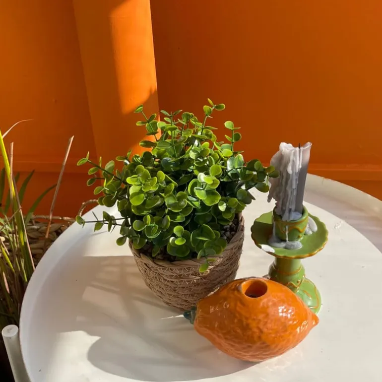 Plantje in rieten mand - rond blad - ø10x19 cm