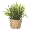 Plantje in rieten mand - spits blad - ø10x19 cm