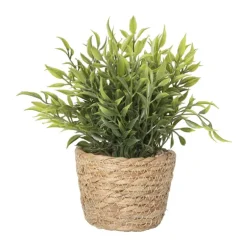 Plantje in rieten mand - spits blad - ø10x19 cm