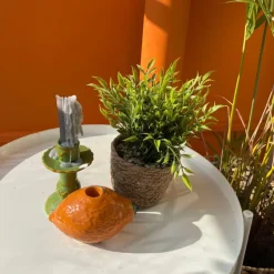 Plantje in rieten mand - spits blad - ø10x19 cm