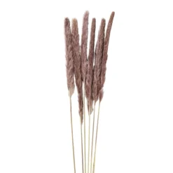 Pluim smal - 6 stuks - 70 cm