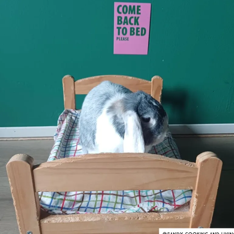 Poster come back to bed - roze/groen - 13x18 cm