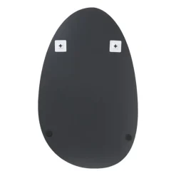 Spiegel organisch - zilverkleurig - 80x50 cm