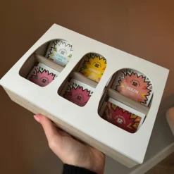 Theedoos organisch - 6 vakken - 26x16x7 cm