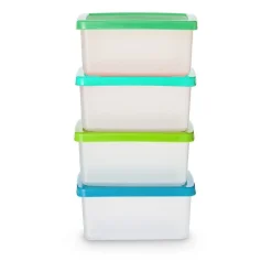 Vershoudbakjes van plastic - 0.9 liter - set van 4