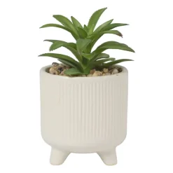 Vetplantje in pot - beige - ø8x15 cm