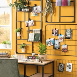 Vetplantjes - klein in pot - diverse varianten