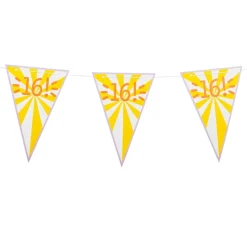 Vlaggenlijn 16 jaar - 10 m