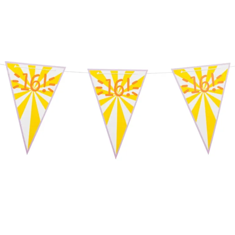 Vlaggenlijn 16 jaar - 10 m