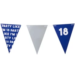Vlaggenlijn 18 jaar - blauw - 10 meter