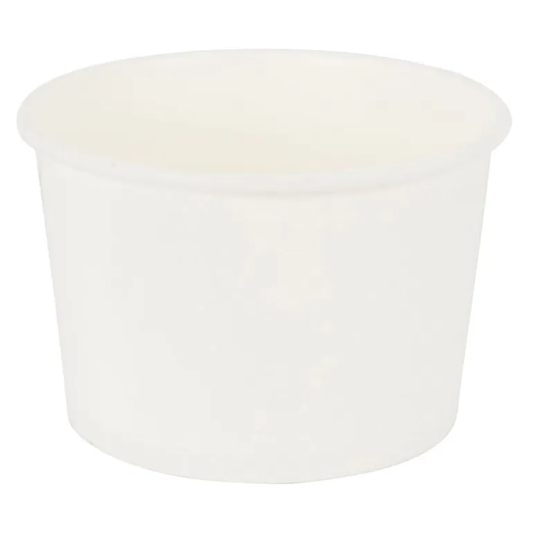 Wegwerpbakjes - set van 10